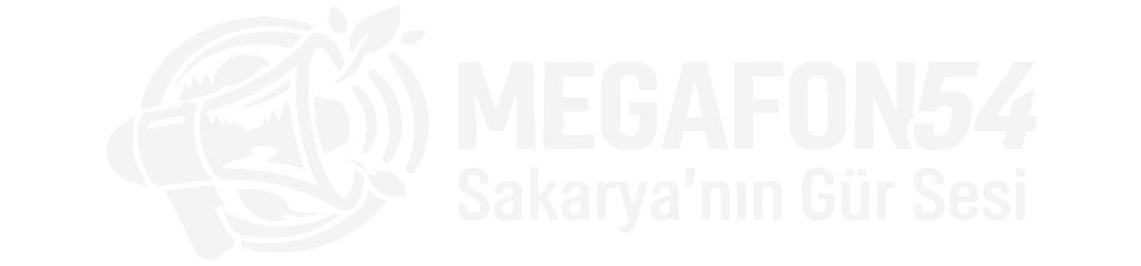 Mağaza
